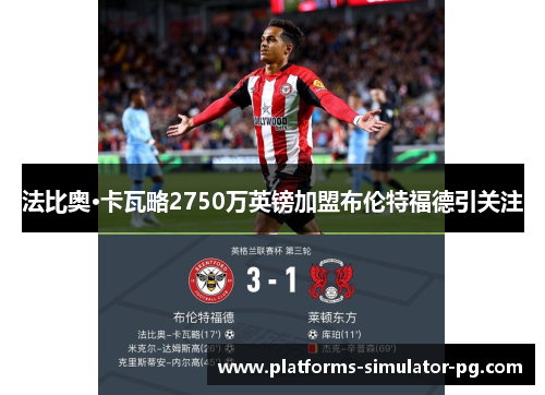法比奥·卡瓦略2750万英镑加盟布伦特福德引关注